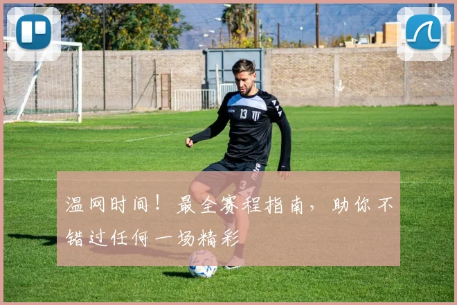 温网时间!最全赛程指南,助你不错过任何一场精彩