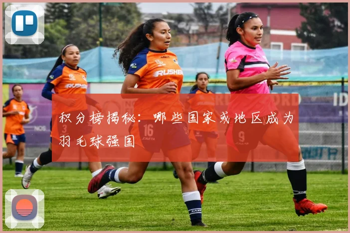 积分榜揭秘：哪些国家或地区成为羽毛球强国