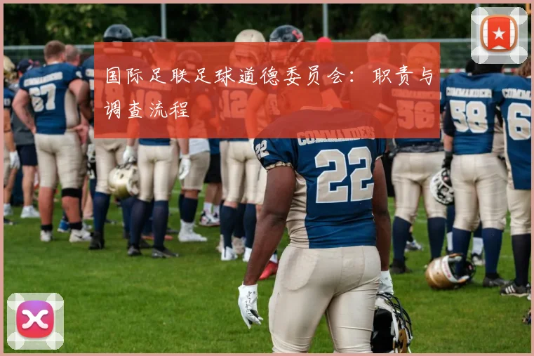 国际足联足球道德委员会:职责与调查流程