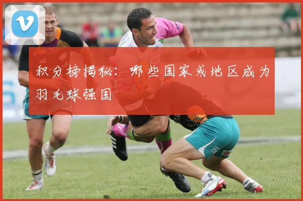 积分榜揭秘：哪些国家或地区成为羽毛球强国